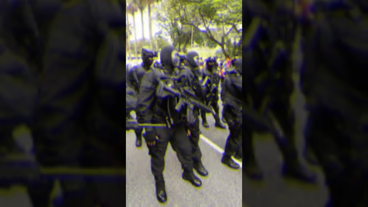 FOCUS SUR LA HK 416 F FRANCE #military#armeefrancaise #technology