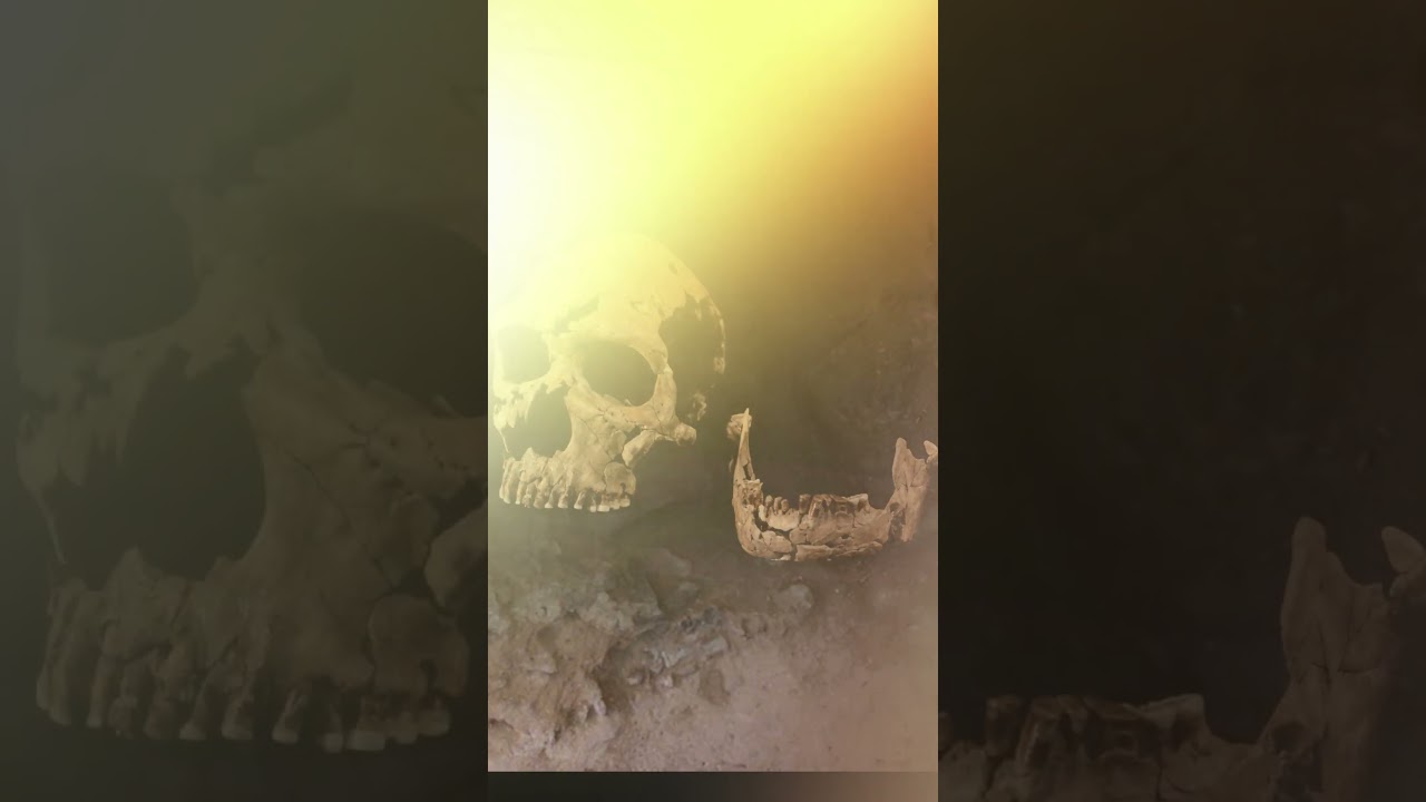 SURVIVREZ VOUS A CE VISAGE MAGNIFIQUE DE FEMME NEANDERTHAL #survival#neanderthal