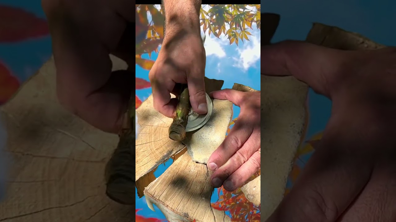 Un couvercle de conserve+un bâton=une hache couteau de survie #survival