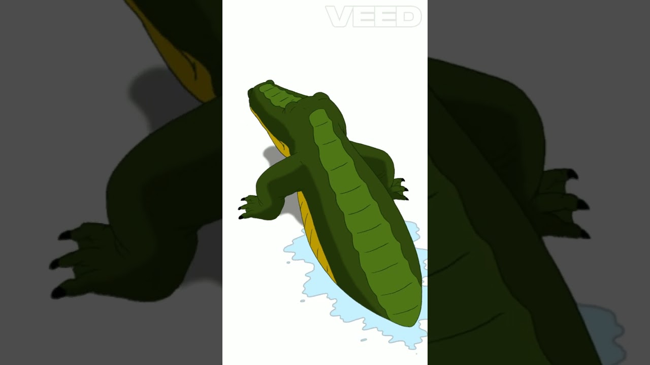 Conseils de survie face aux alligators #survival#alligator